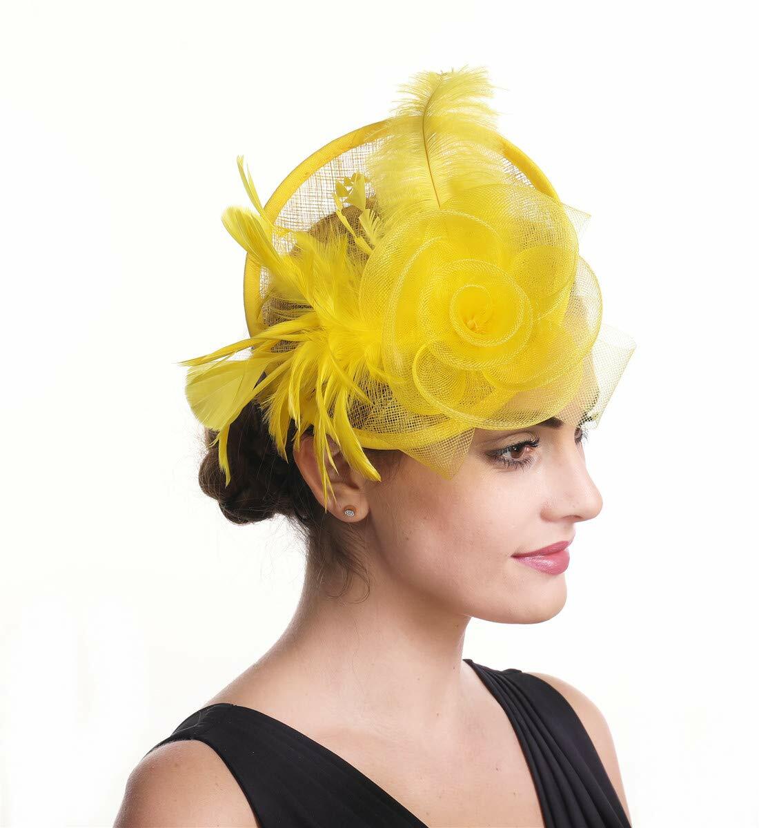 Fascinator Hair Clip