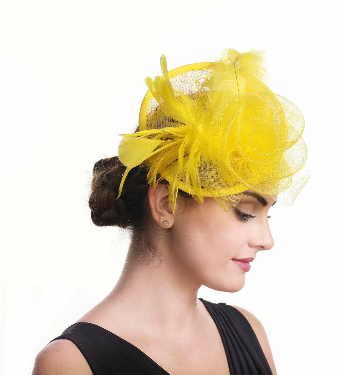 Fascinator Hair Clip